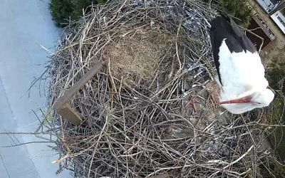 Čapí hnízdo Rohatec