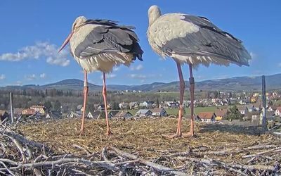 Čapí hnízdo Vrchlabí