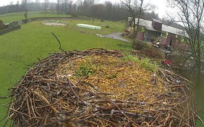 Čapí hnízdo Závada